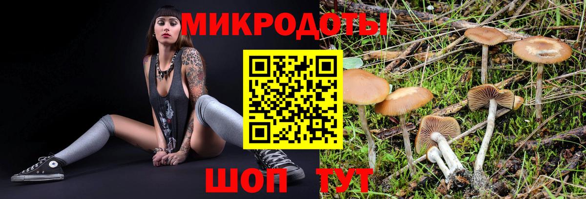 Псилоцибиновые грибы прущие грибы Ливны